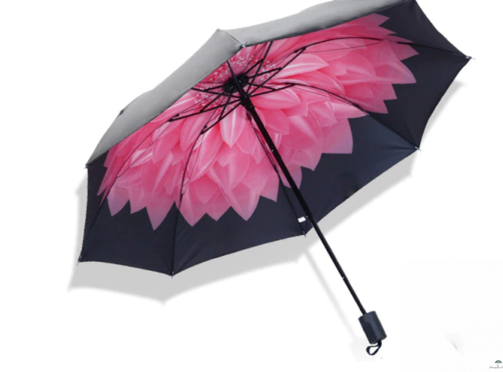 Collection intérieur parapluie fleur rose