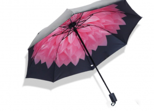 Collection intérieur parapluie fleur rose
