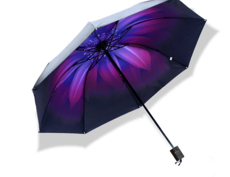 Collection intérieur parapluie fleur violet