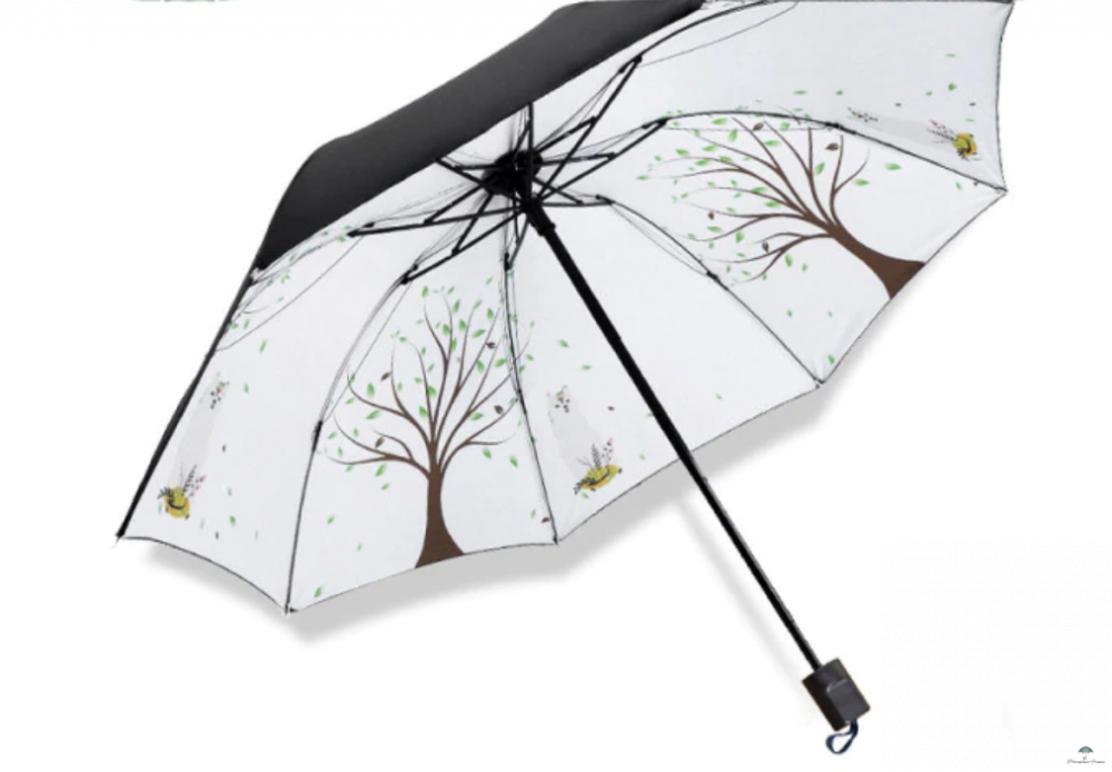 Collection intérieur parapluie arbre blanc Collection intérieur parapluie arbre blanc