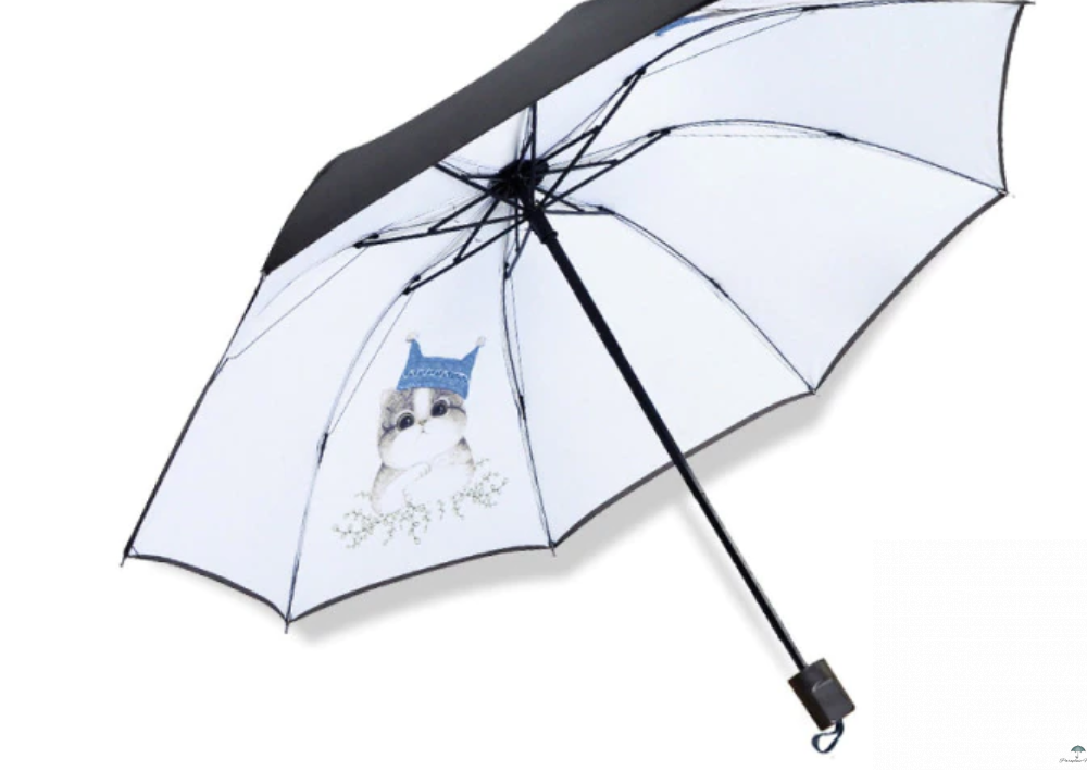 Collection intérieur parapluie chat blanc