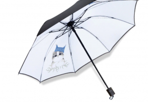 Collection intérieur parapluie chat blanc