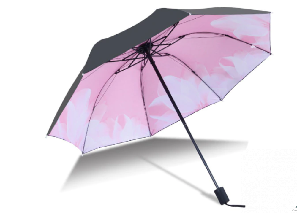 Collection intérieur parapluie rose fleur