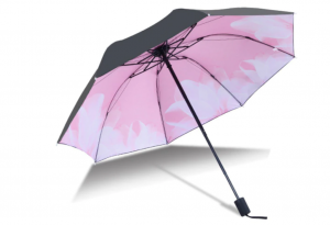Collection intérieur parapluie rose fleur