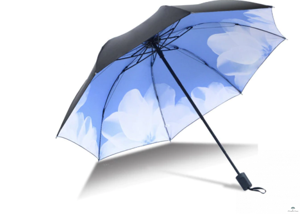 Collection intérieur parapluie ciel