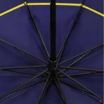 baleine paraluie bleu