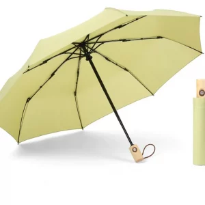 Parapluie bois belge